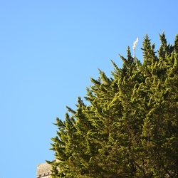 2016-12 France/Mont St Michel/DSC_0025.JPG